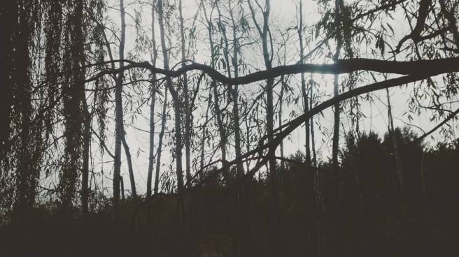 15128997_10211214800866899_3956437067030591702_o